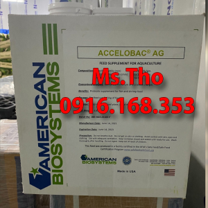 ACCELOBAC AG Men vi sinh nguyên liệu nhập khẩu từ Mỹ xử lý đáy ao nuôi thuỷ sản hiệu quả